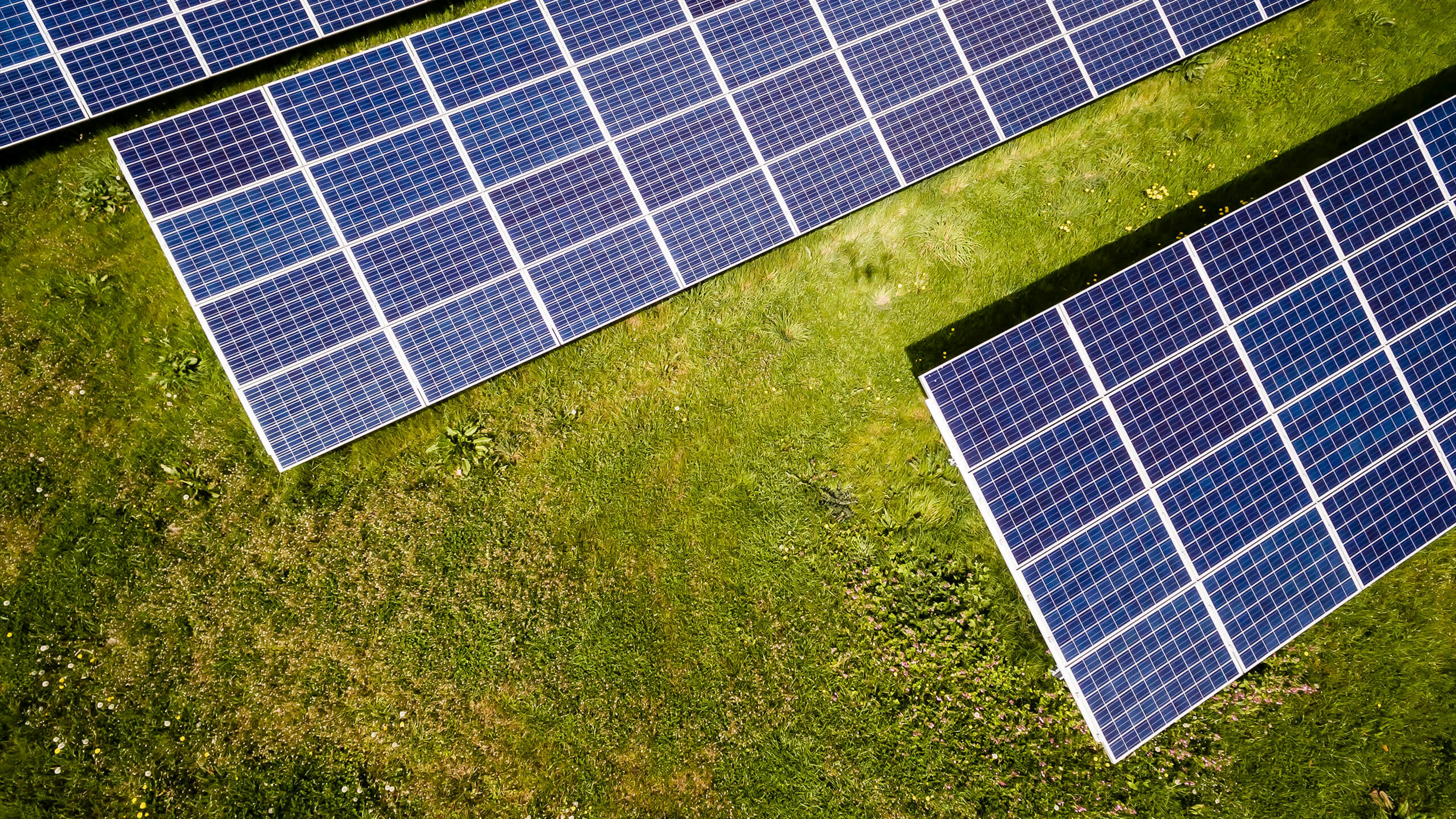 Solar PV modules, utility, commercial and rooftop supply · TRX-PM