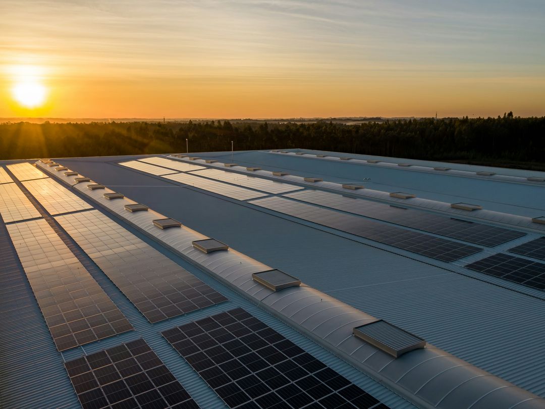 Solar panels on a factory roof at sunset
